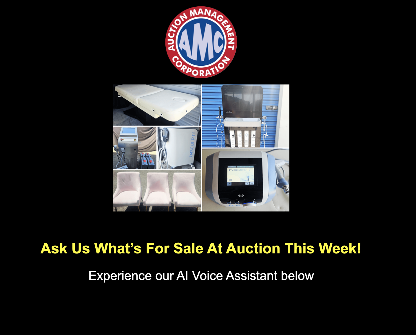 AMC Lakeland Auction